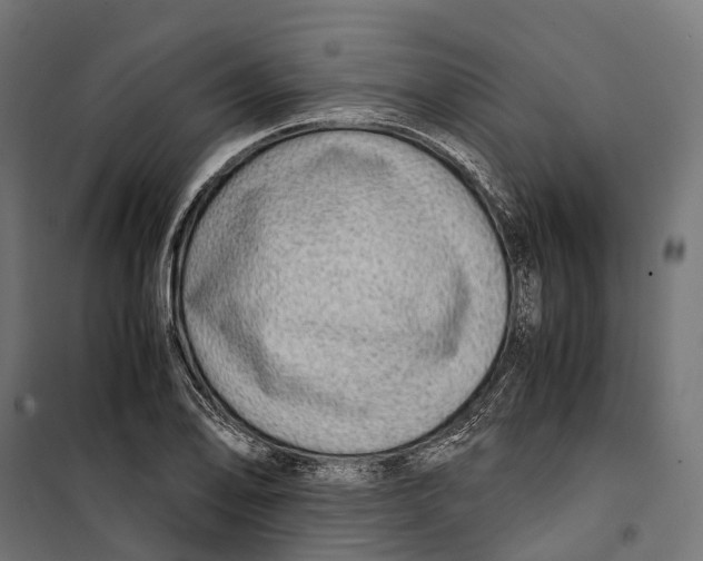 X0000099991078200806201443