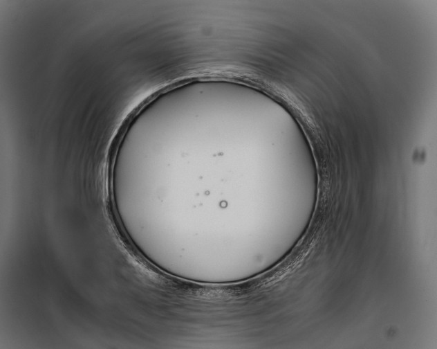 X0000099991079200806201443