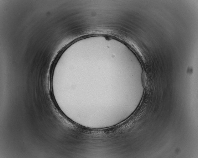 X0000099991080200806201443