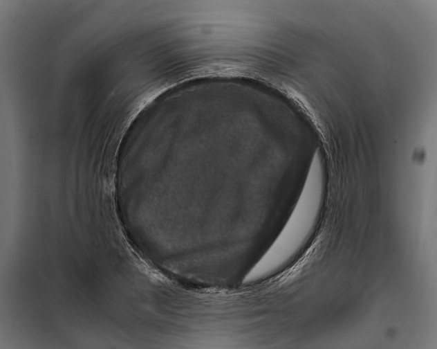 X0000099991081200806201443