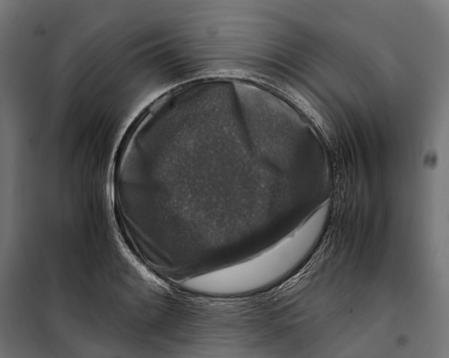 X0000099991084200806201443