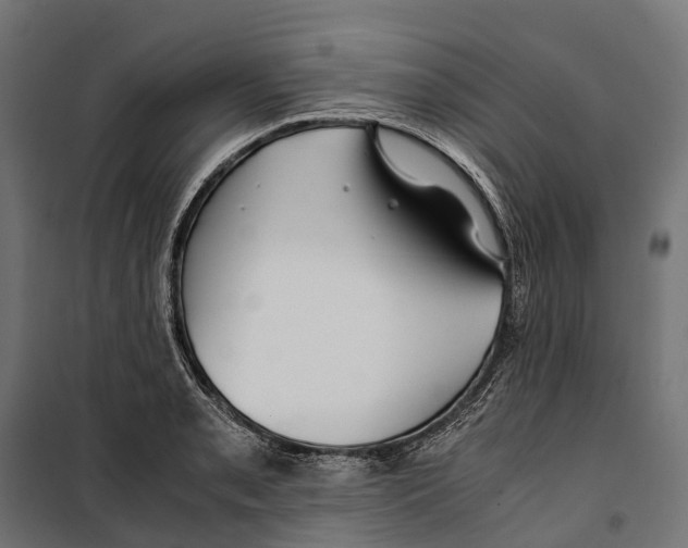 X0000099991085200806201443