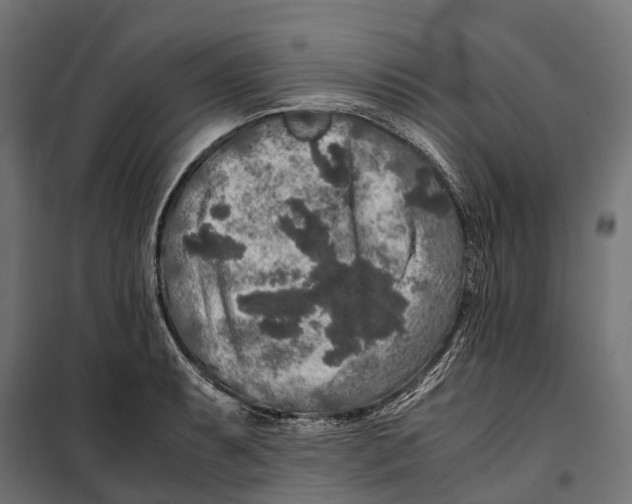 X0000099991087200806201443