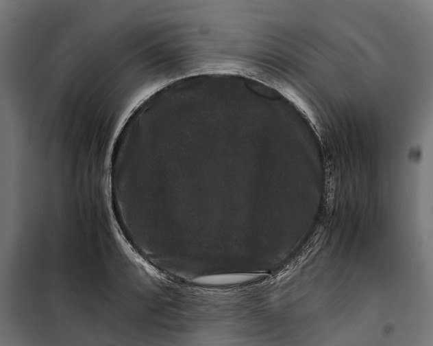 X0000099991088200806201443