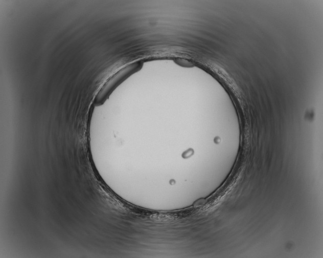 X0000099991089200806201443