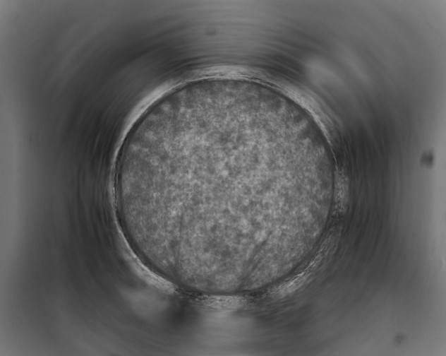 X0000099991090200806201443