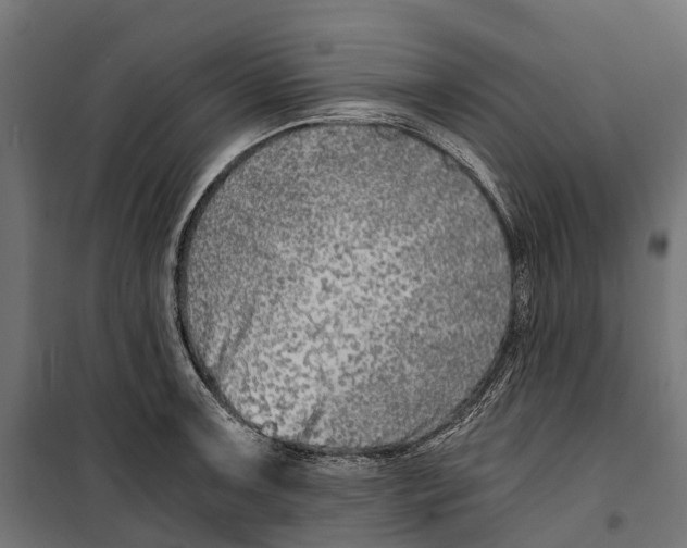 X0000099991091200806201443