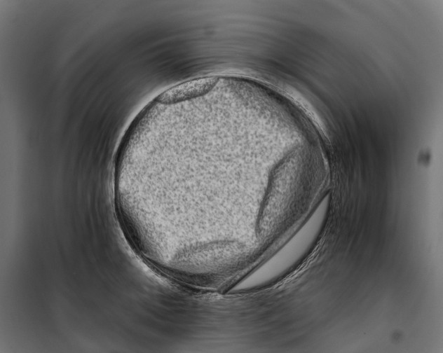 X0000099991092200806201443