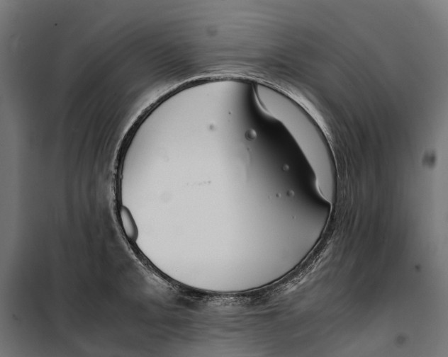 X0000099991093200806201443