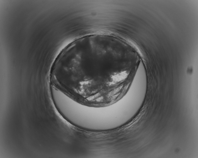 X0000099991095200806201443