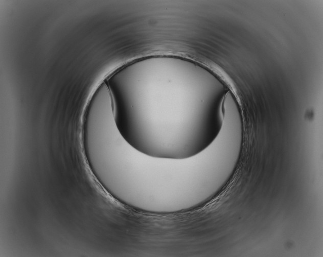 X0000099991096200806201443