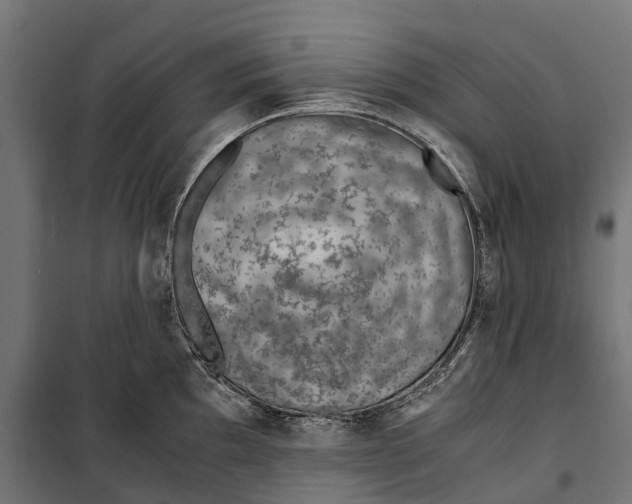 X0000099991097200806201443