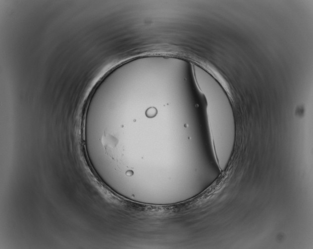 X0000099991099200806201443