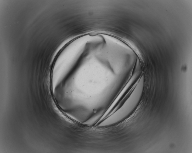 X0000099991100200806201443