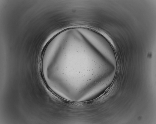 X0000099991101200806201443