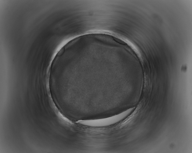 X0000099991102200806201443