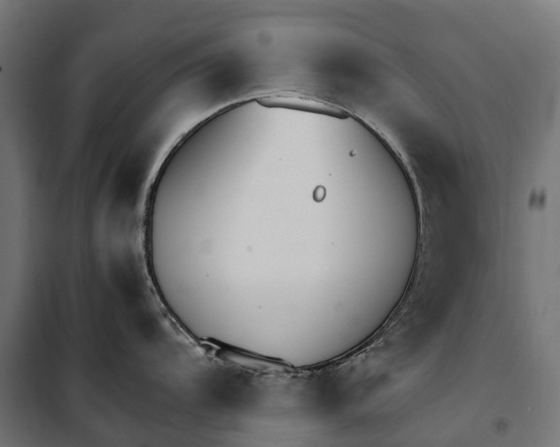 X0000099991104200806201443