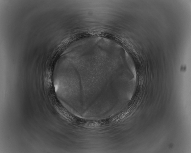 X0000099991106200806201442