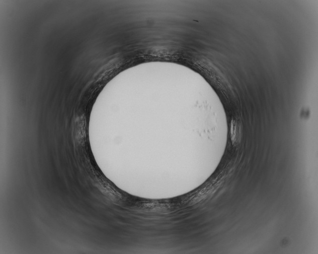 X0000099991107200806201442