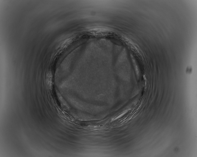 X0000099991108200806201442