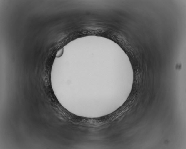 X0000099991109200806201442