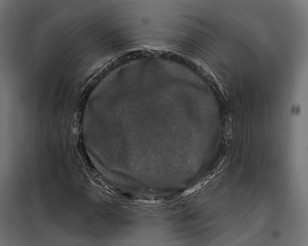 X0000099991110200806201442