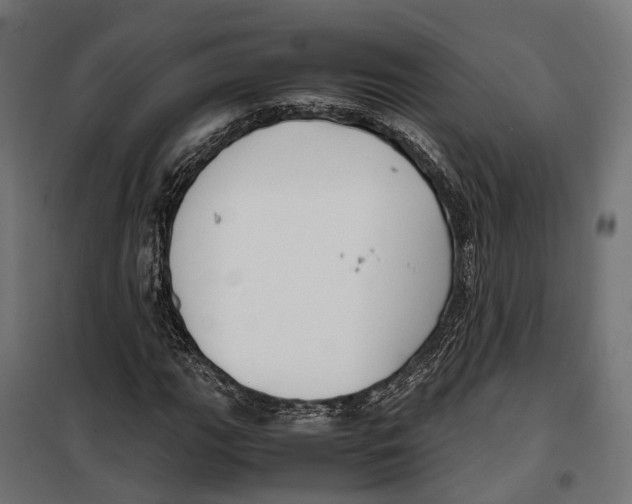 X0000099991111200806201442