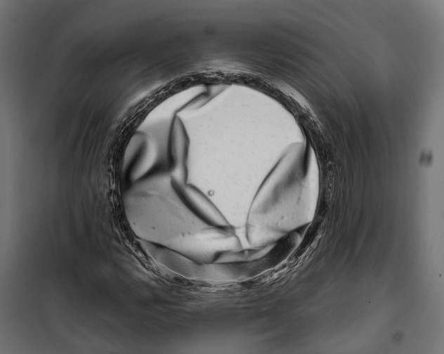 X0000099991112200806201442