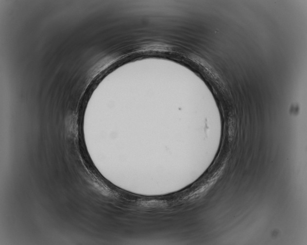 X0000099991113200806201442