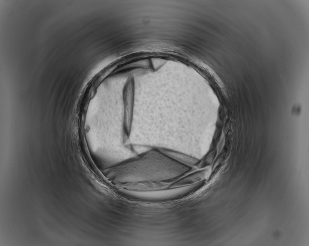 X0000099991114200806201443