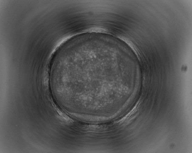 X0000099991115200806201443