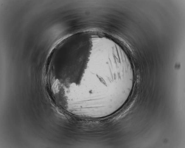 X0000099991117200806201443