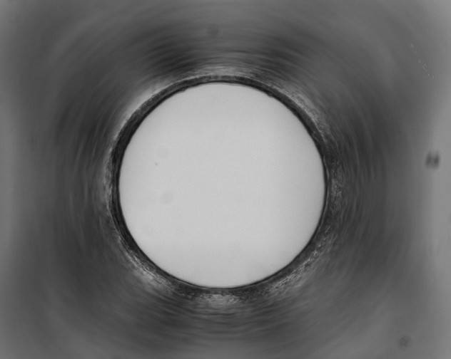 X0000099991119200806201443