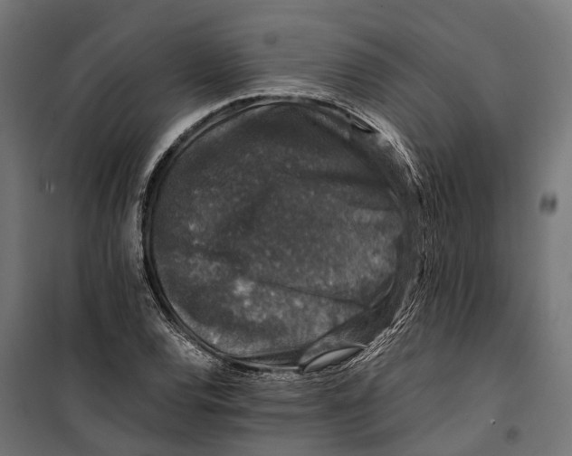 X0000099991120200806201443