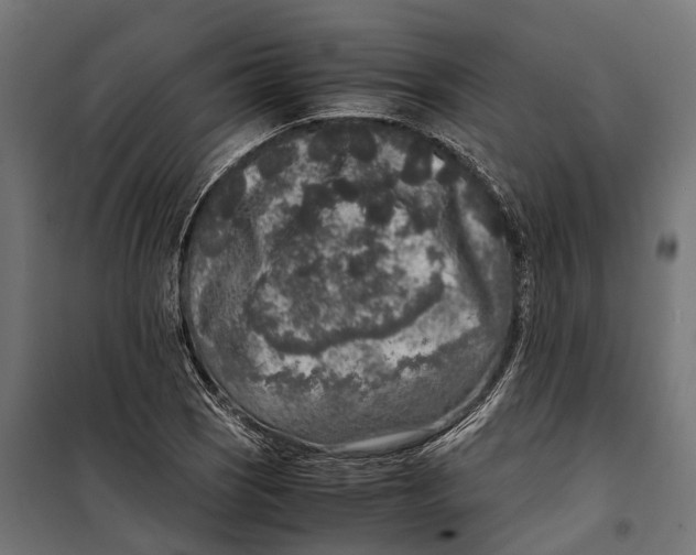 X0000099991121200806201443