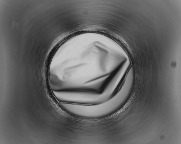 X0000099991122200806201443