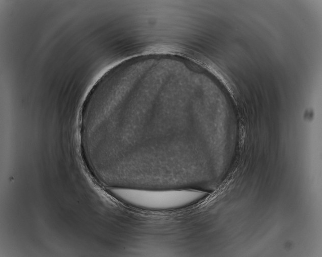 X0000099991124200806201443