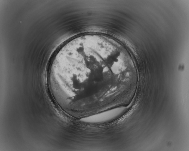 X0000099991125200806201443