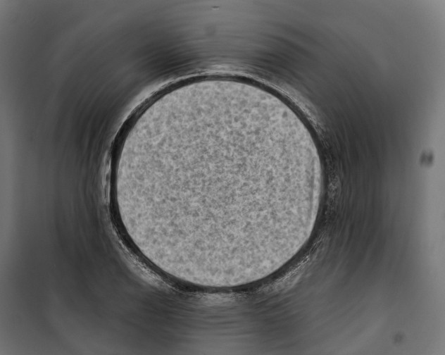 X0000099991126200806201443