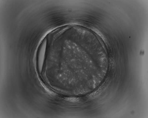 X0000099991127200806201443