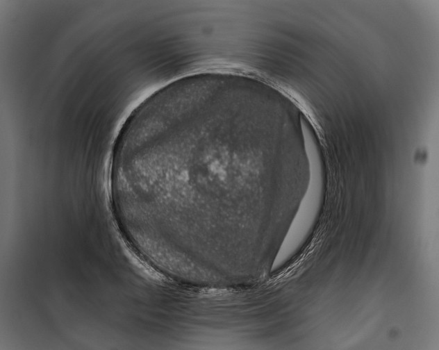 X0000099991128200806201443