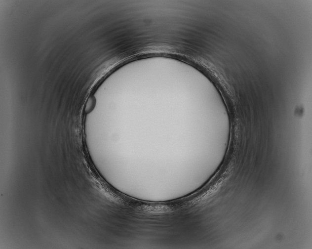 X0000099991129200806201443