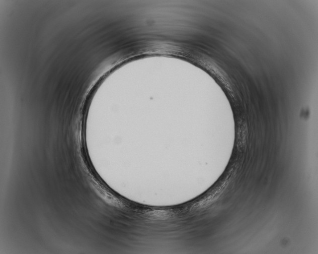 X0000099991130200806201443