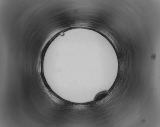 X0000099991131200806201443