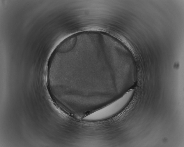 X0000099991132200806201443