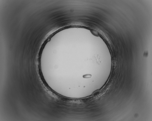 X0000099991133200806201443