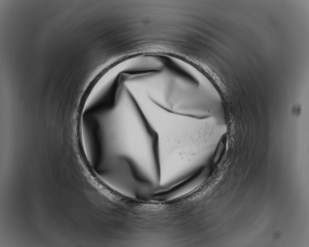 X0000099991134200806201443