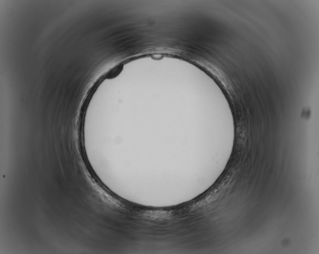 X0000099991135200806201443