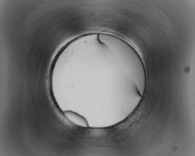 X0000099991136200806201443