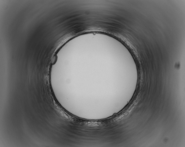 X0000099991137200806201443